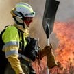 Strażacy walczą z ogniem w prowincji Zamora na północy Hiszpanii