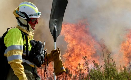 Strażacy walczą z ogniem w prowincji Zamora na północy Hiszpanii