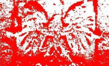 Numer 35(1070), 31 sierpnia-1 września 2013