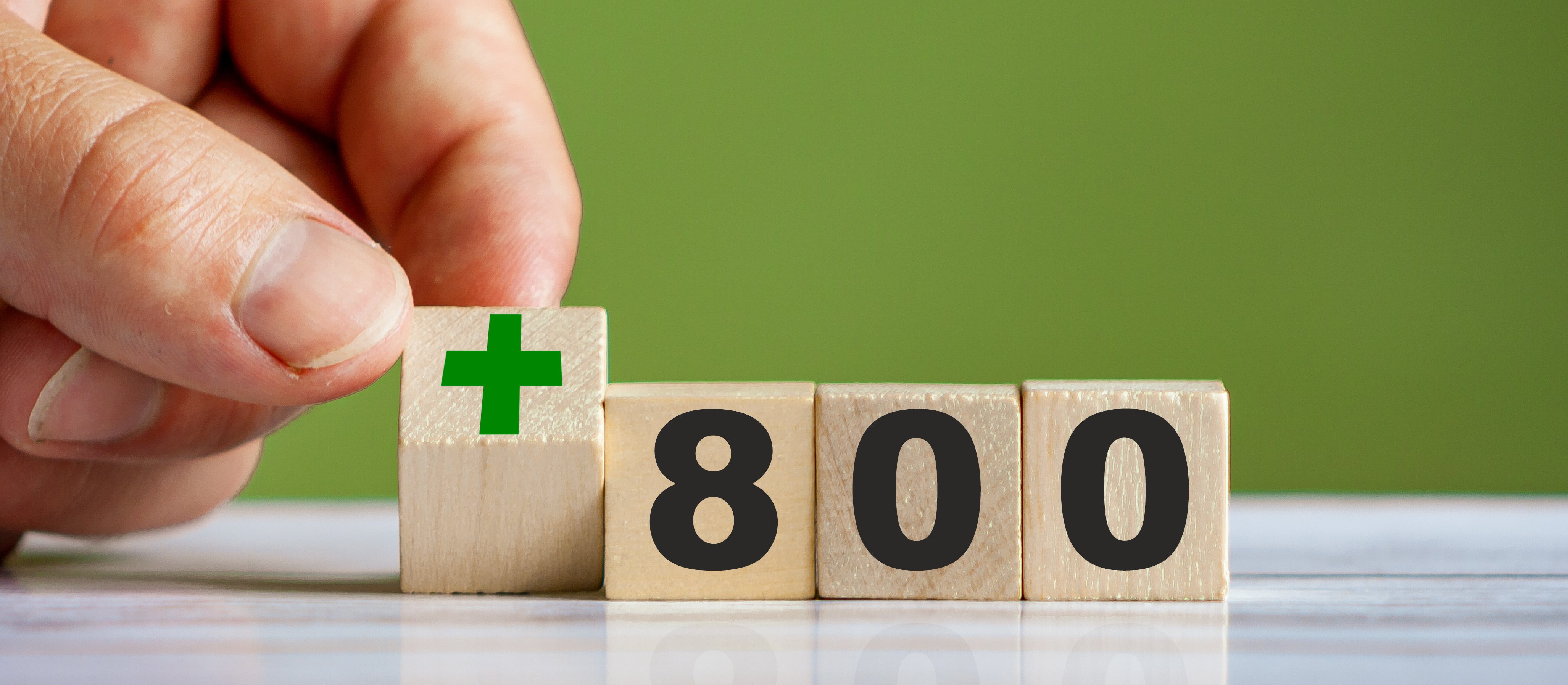 Zmiany w wypłatach 800 plus w lutym 2026. ZUS rozpoczyna przyjmowanie wniosków