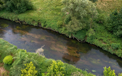 Alert RCB w Łódzkiem po informacjach o kolejnej zanieczyszczonej rzece