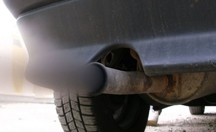 Dokąd trafiają używane diesle z Niemiec?