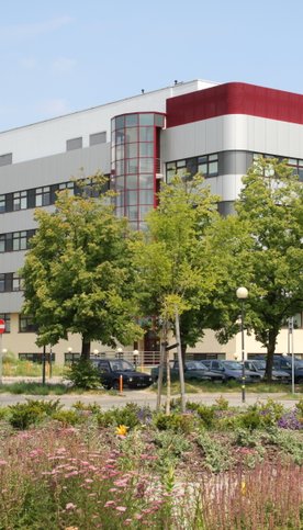 Największą popularnością cieszyły się kierunki: finanse i rachunkowość, zarządzanie i ekonomia.