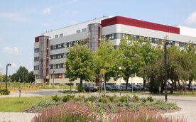 Największą popularnością cieszyły się kierunki: finanse i rachunkowość, zarządzanie i ekonomia.