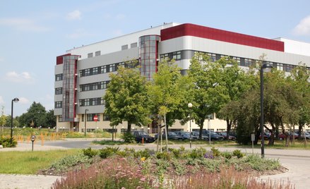 Największą popularnością cieszyły się kierunki: finanse i rachunkowość, zarządzanie i ekonomia.