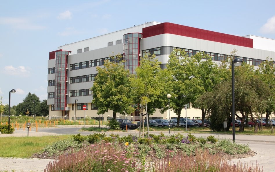 Największą popularnością cieszyły się kierunki: finanse i rachunkowość, zarządzanie i ekonomia.