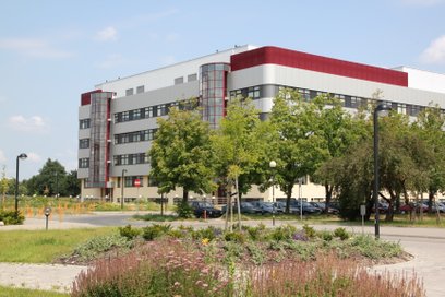 Największą popularnością cieszyły się kierunki: finanse i rachunkowość, zarządzanie i ekonomia.