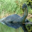 Potwór z Loch Ness ma związek z dinozaurami