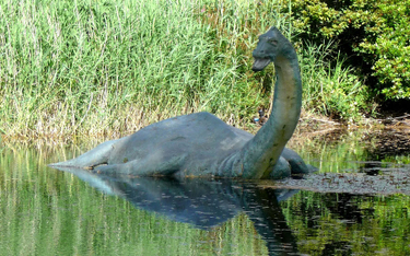 Potwór z Loch Ness ma związek z dinozaurami