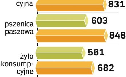 Ożywienie na rynku zbożowym