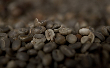 Szwajcaria kończy z obowiązkowymi rezerwami kawy. „Kawa nie jest niezbędna do życia”