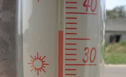 Hiszpania: Szkoła wysłała uczniów do klimatyzowanego domu pogrzebowego