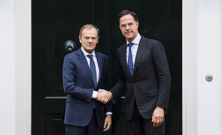 Premier Holandii Mark Rutte: Chcą opóźnić brexit? I co dalej?