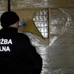 Podlaskie: Celnicy zatrzymali największy w tym roku przemyt papierosów