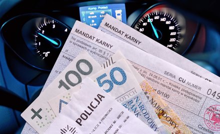 Anna Wojda: Pirackie mandaty na piratów