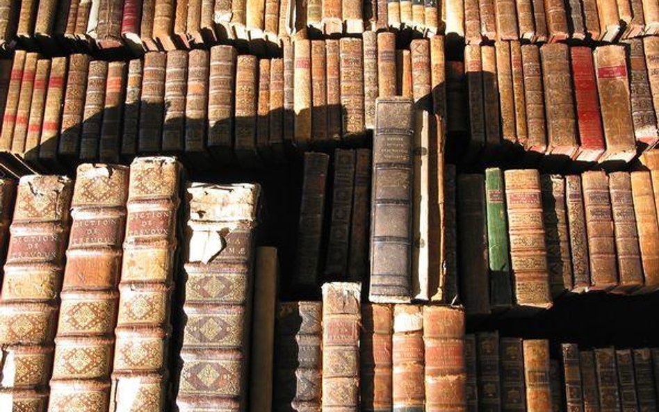 WSA: Spór o archiwum w krakowskiej spółce samorządowej