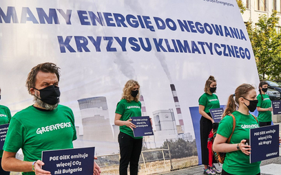Zatrzymanie aktywistów Greenpeace - nie tylko Polskę Trybunał dopytuje