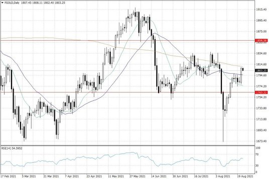 Notowania zlota – dane dzienne