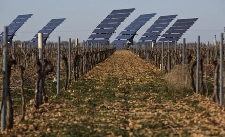 Każdy może być producentem prądu
