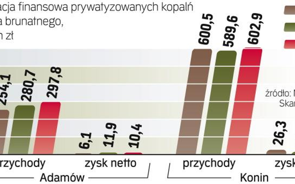 Kopalnie odkrywkowe czekają na prywatyzację