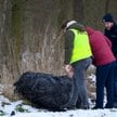 Szczątki rakiety Falcon 9 znalezione w Sędzinach w powiecie szamotulskim