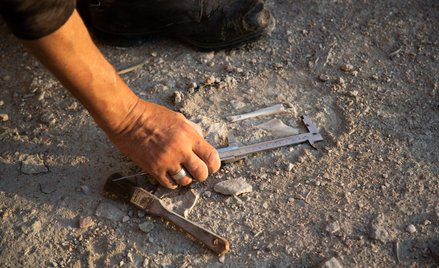 Nowe badanie dotyczy poszukiwania ostatniego, wspólnego przodka neandertalczyków, denisowian i Homo 