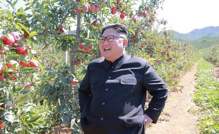 Korea Północna: Egzekucja 11 muzyków z użyciem artylerii przeciwlotniczej