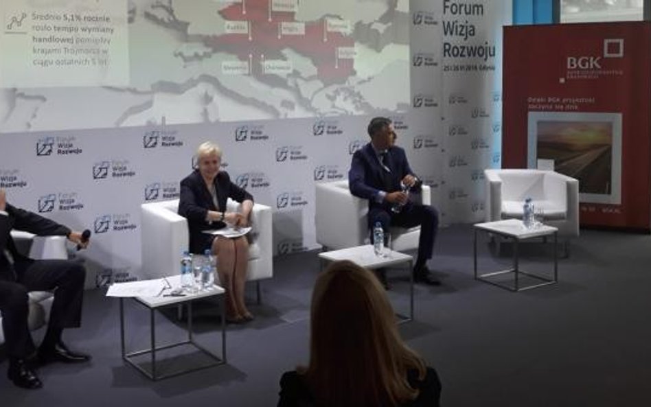 Trójmorze to międzynarodowa inicjatywa gospodarczo-polityczna skupiająca 12 państw Europy Środkowej 