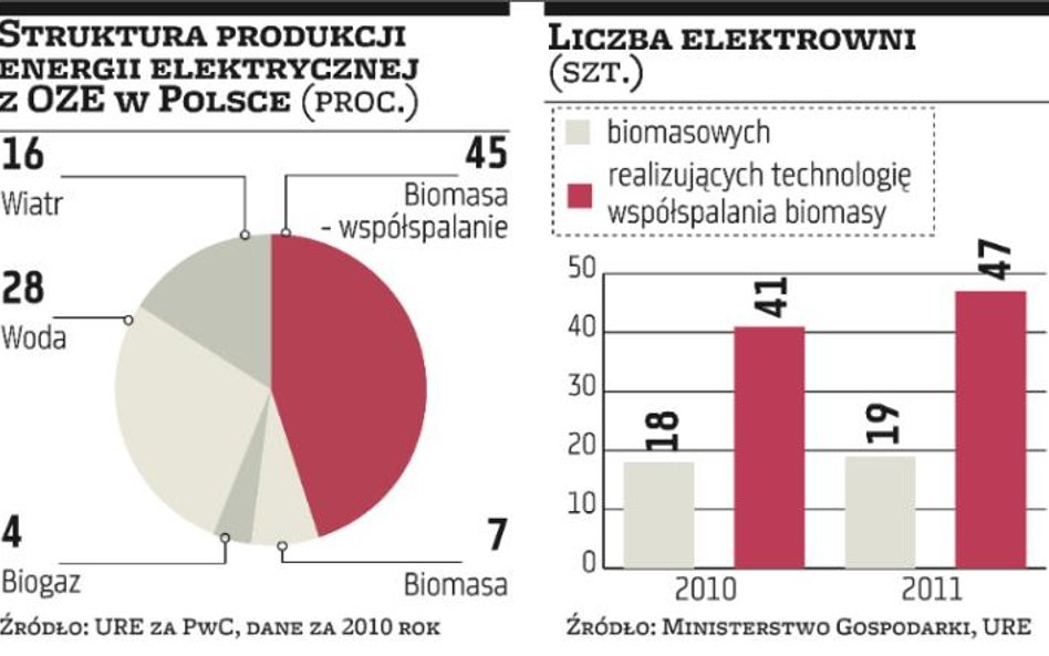 Elektrownie współspalające biomasę z węglem bez wsparcia