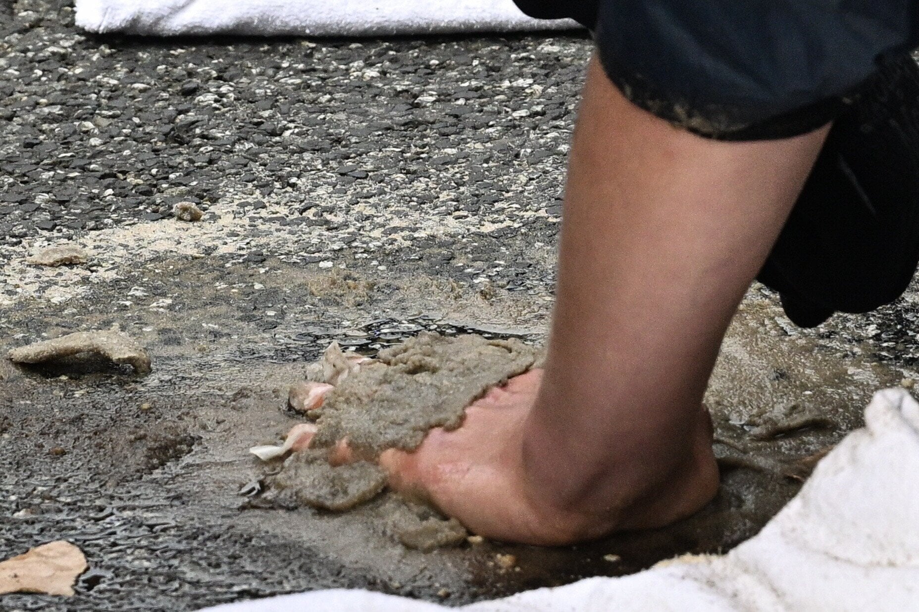 Koniec działalności Ostatniego Pokolenia. "Cel osiągnięty" 2