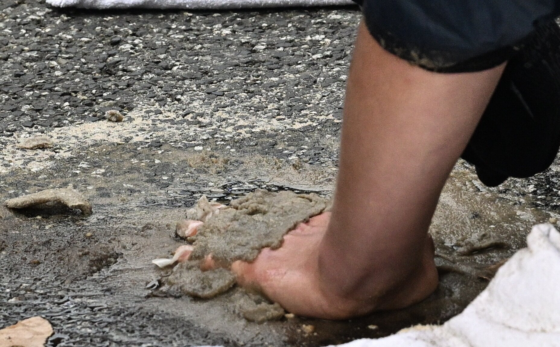 Ostatnie Pokolenie: kończymy działalność