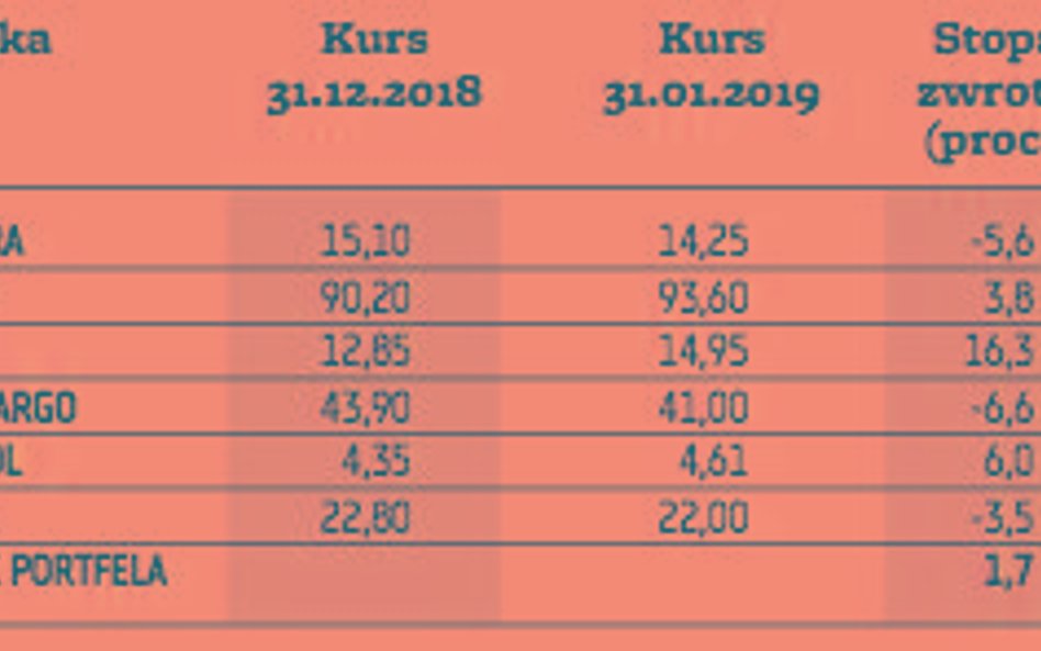 Portfele skorzystały ze styczniowego odbicia na GPW