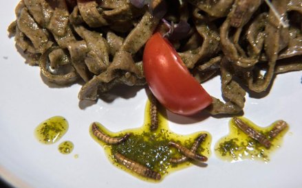 Wszystkie dania w Gourmet Grubb są z dodatkiem owadów