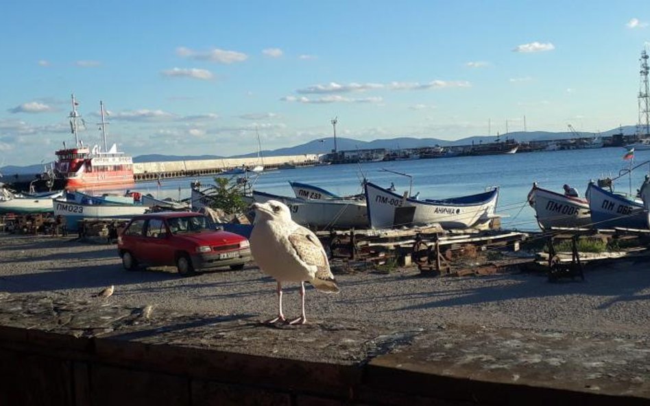 Pomorie, portowe miasteczko nad Morzem Czarnym koło Burgas. Właścicielami nowych domów są tu głównie