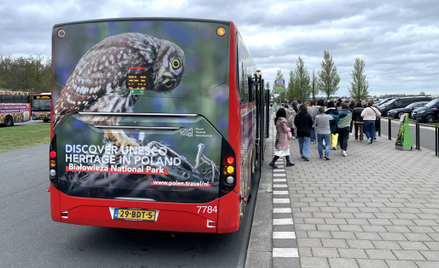 Polska przyroda i zabytki w krainie tulipanów. Jubileusz ogrodów pod Amsterdamem