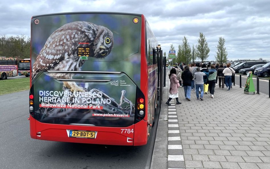 Polska przyroda i zabytki w krainie tulipanów. Jubileusz ogrodów pod Amsterdamem