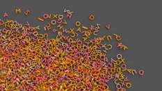 Głosować można do końca roku pod adresem https://sloworoku.uw.edu.pl/