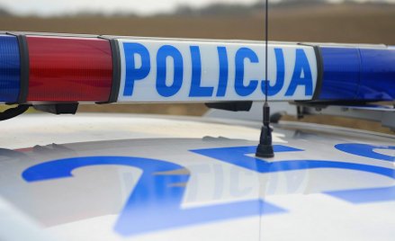 Lubuskie: Mały psiak skatowany i zakopany żywcem. Policja szuka sprawcy