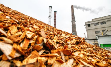 Aktywiści: Dopłaty do spalania biomasy do marnotrastwo