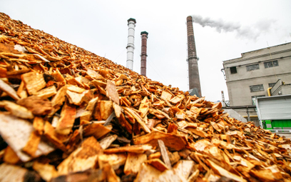 Aktywiści: Dopłaty do spalania biomasy do marnotrastwo