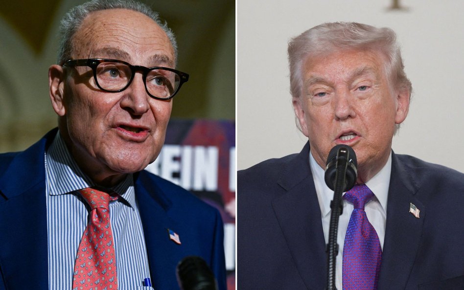Chuck Schumer i Donald Trump