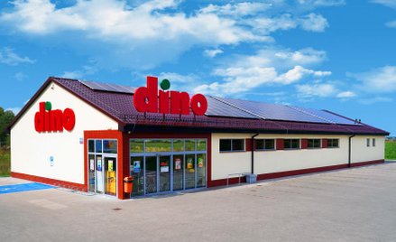 Dino trzyma wysokie tempo