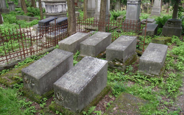 Groby Natansonów na warszawskim cmentarzu żydowskim na Woli.