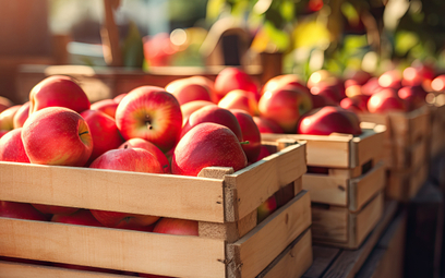 Eksport polskich jabłek rośnie zarówno pod względem ilościowym, jak i wartościowym.