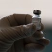 Koronawirus. Pfizer informuje, że podwolił produkcję szczepionki na COVID-19