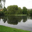 By Ghostrider [CC BY 3.0 (http://creativecommons.org/licenses/by/3.0)], via Wikimedia Commons