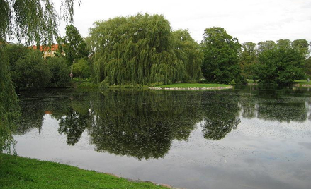 By Ghostrider [CC BY 3.0 (http://creativecommons.org/licenses/by/3.0)], via Wikimedia Commons