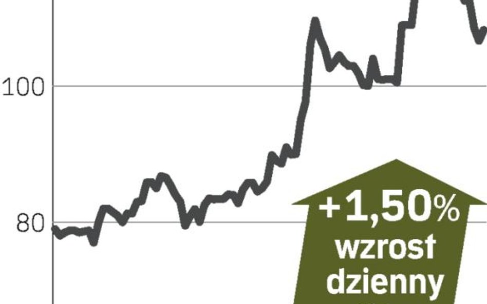 integer.pl – spółka, o której się mówi w Warszawie