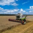 Żniwa pszenicy w gospodarstwie rolnym w obwodzie kijowskim