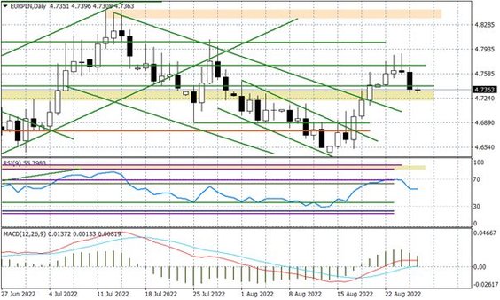 Wykres dzienny EURPLN